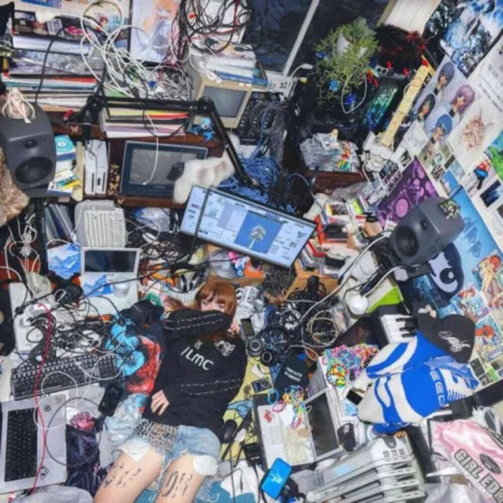 Ninajirachi - I Love My Computer  LP LP